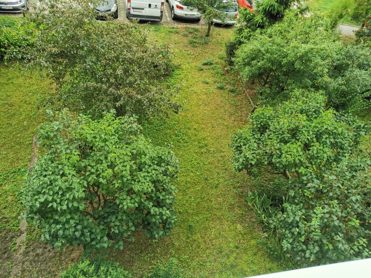 شقة Apartament Wiewiorka غدانسك المظهر الخارجي الصورة