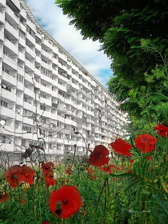 شقة Apartament Wiewiorka غدانسك المظهر الخارجي الصورة